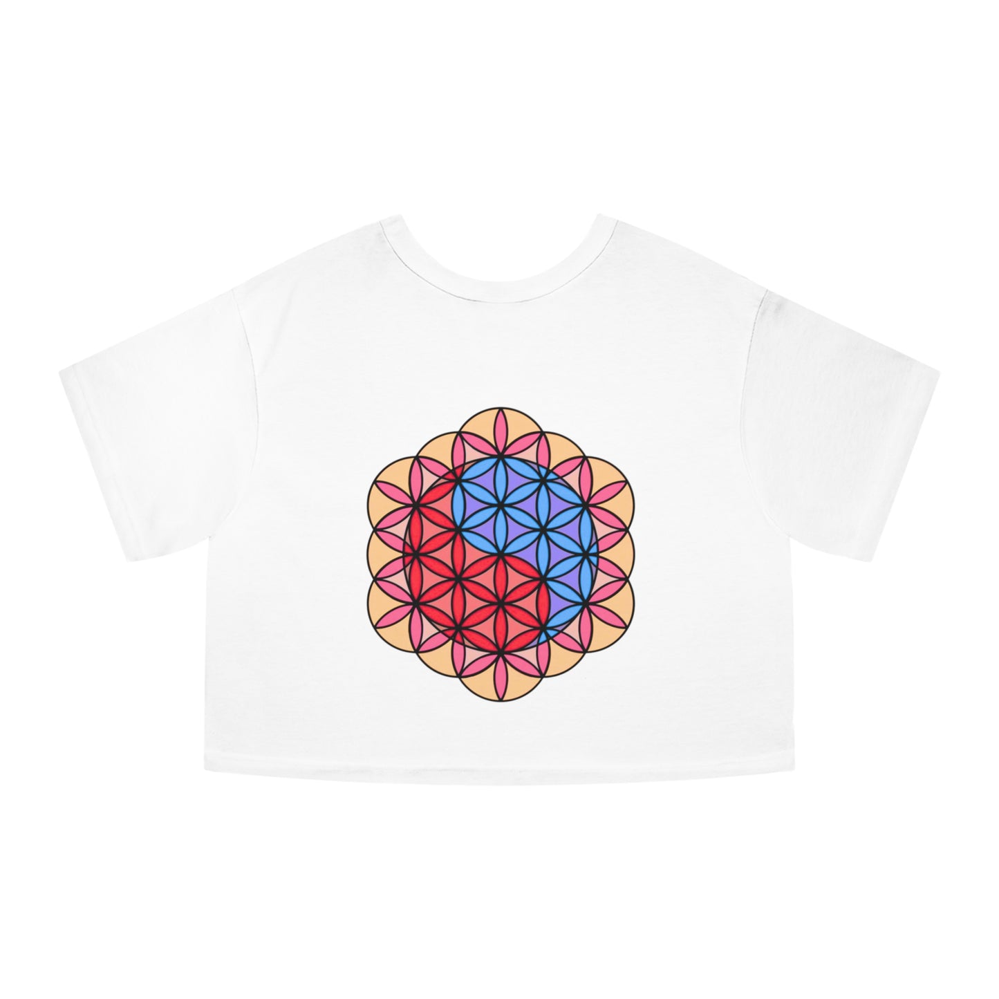 "AuraBoros" Champion Heritage Cropped T-Shirt